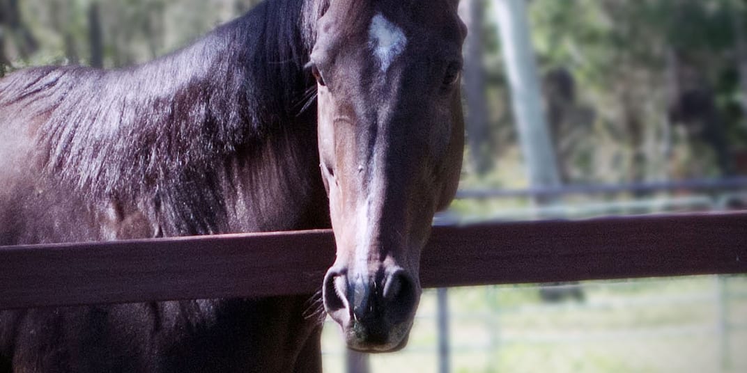 Have you ever heard of Ransome? Writers don’t get much positive feedback.