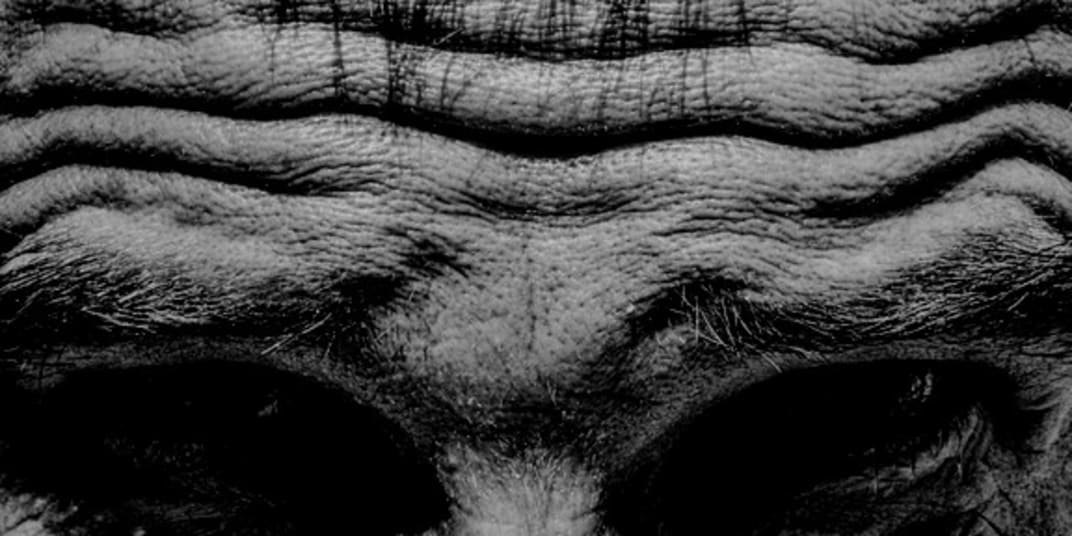 One John After Another  With few exceptions, they were all called