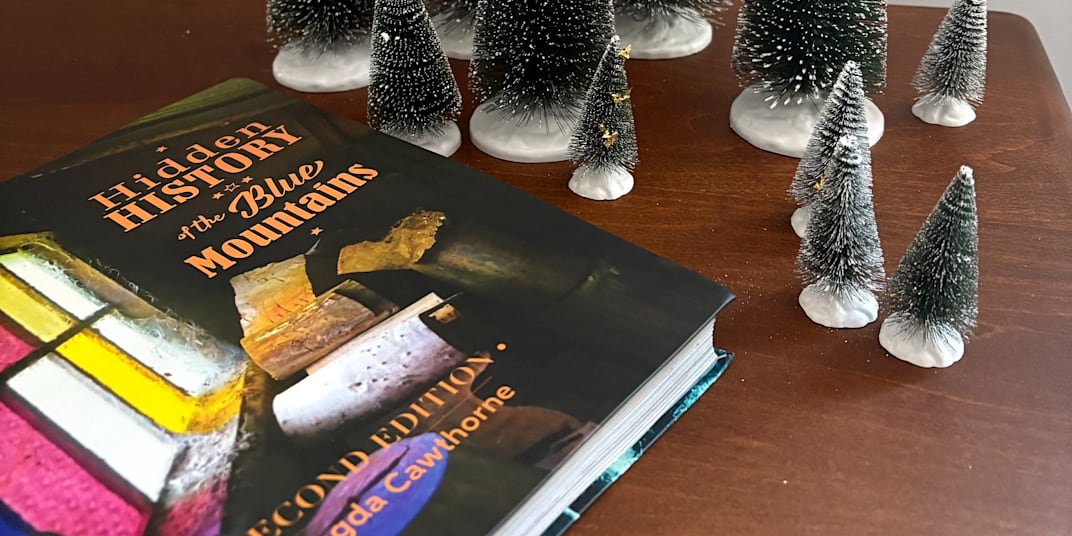 WHERE TO BUY HIDDEN HISTORY Check out these local retailers:&nbsp;Megalong