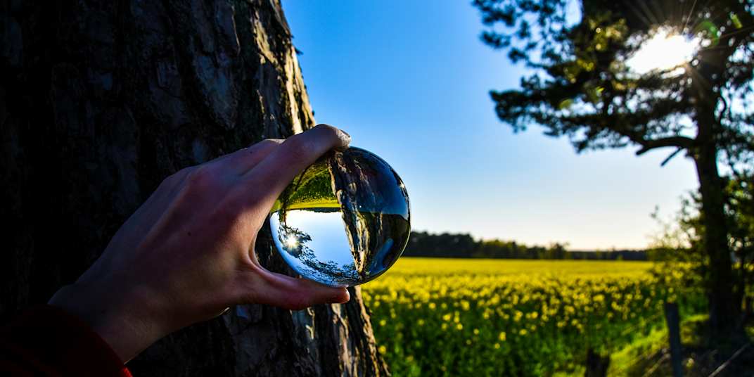 Creative Shift Exploring the wide-world of publishing and book promotion