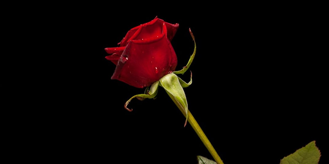 One False Step Give me everything you’ve got,&nbsp;Every undeserved ounce