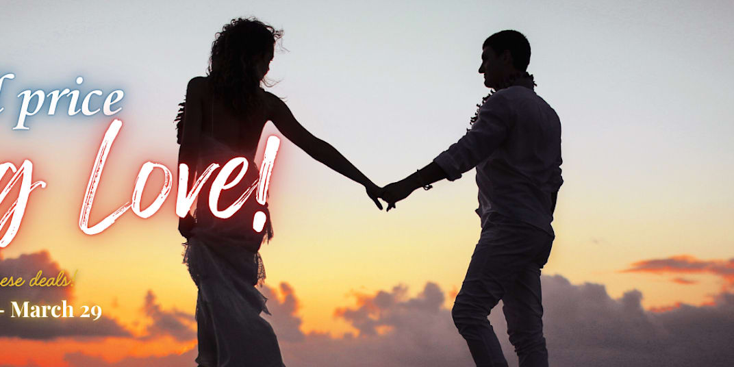 Book Funnel Promotion: Small Price... Big Love Wholesome/No-Heat, Small