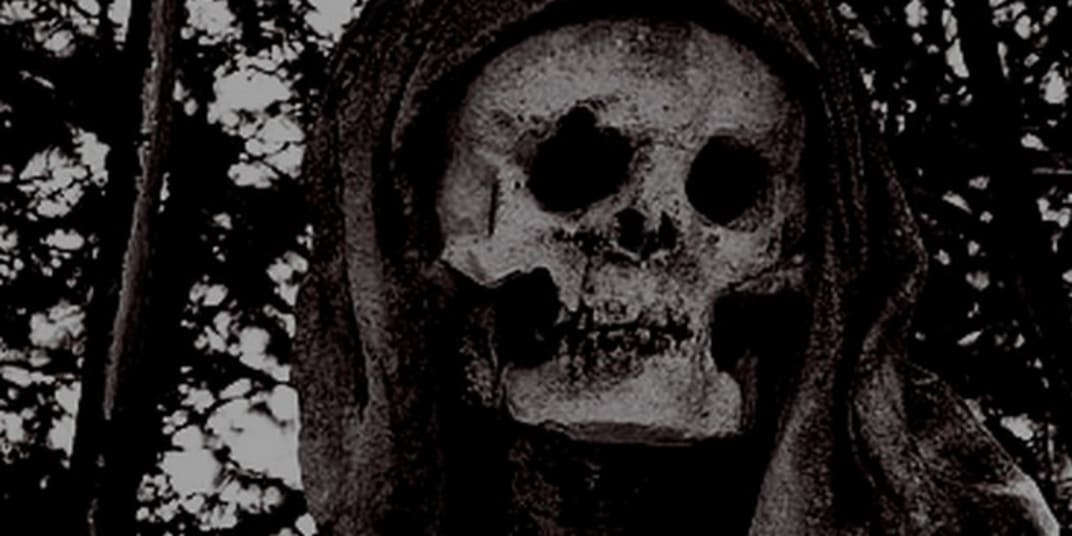 Dead Does Not Feel Celeste Brandenburg had a decision to make.&nbsp;For the