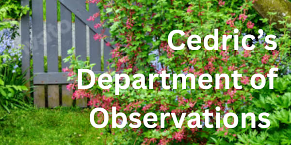 From the Department of Observations  Today's Observation The arrival of a