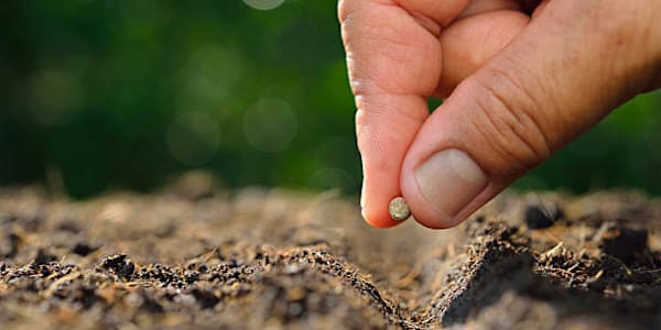 Sowing Seeds I have a really sweet story to share! A friend's church was