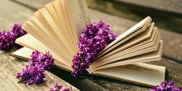 Book Funnel Promo  Find your next Paranormal &amp; Fantasy Books. Sale runs