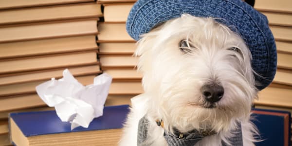 Behind the Scenes: A Day in the Life of an Indie Author As we celebrate