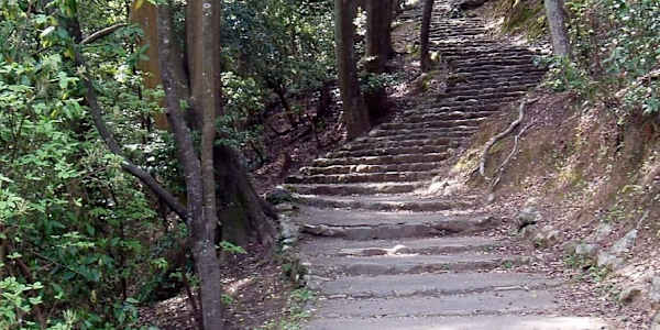 Poetry: Courtyard Dreams Paperback – April 18, 2014 by Vanessa M Chattman