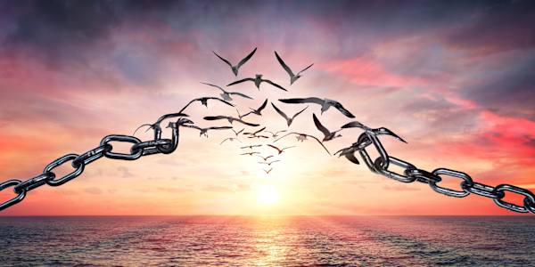  "Why Change Feels Impossible Even When You Want It" If change has felt out