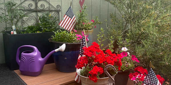 The Lazy Days of July Hello July!Happy Birthday America and Happy Birthday