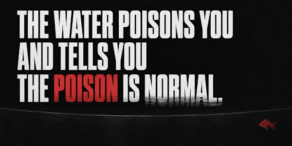 The Goldfish Analogy: Why You Either Clean Your Water or Learn to Love It