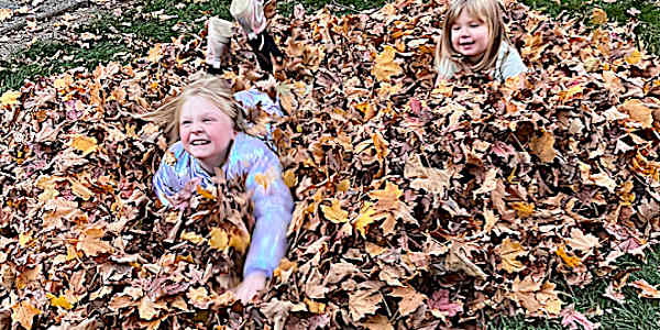 The autumn of life The autumn of life is plumb full of fall. Falling jowls,