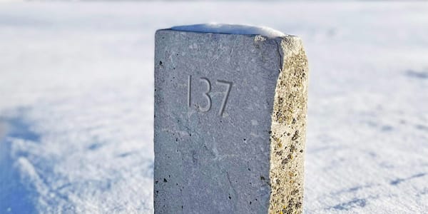 Dog 137 (Excerpt) Dog 137 is set in 1917 when the US became involved in the