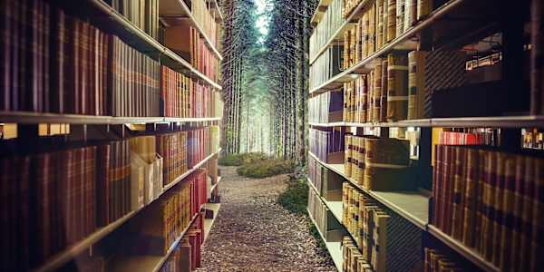 What's a Book to You? My husband sometimes chuckles at my book-buying