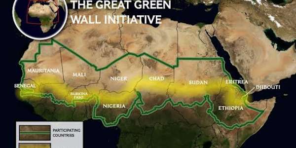 The Great Green Wall project-teaches us patience and interconnectedness. 