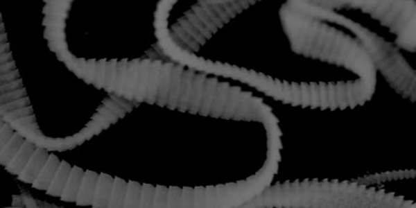 Your Infestation They are the worst parasites among us. However, these