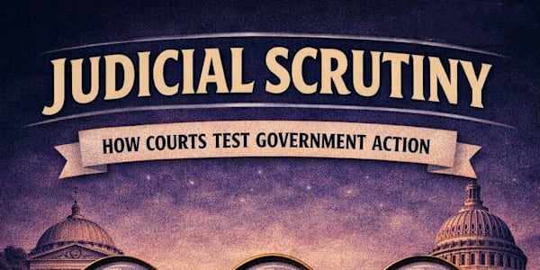 Judicial Scrutiny Judicial Scrutiny is the court's fairness test.Whenever