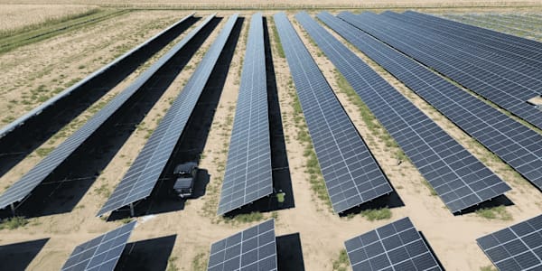 Canva's solar farms Are we still designing governance systems for