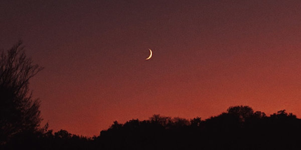 Sleep Enjoy the kiss of your slavery,&nbsp;As my blood runs cold.&nbsp;My