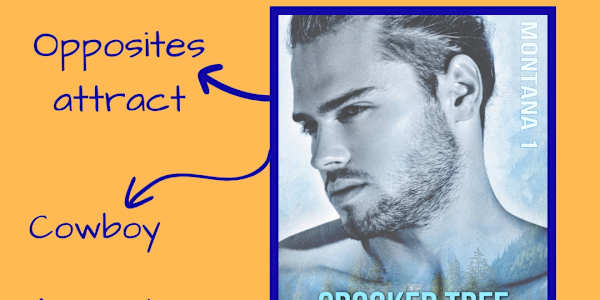 Spotlight on Audiobooks Does anyone else feel like sometimes life just gets