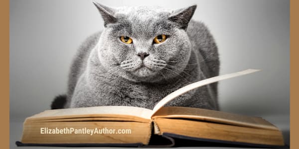 Featured Quote  ~~~ Click 'read more' to see the quote!