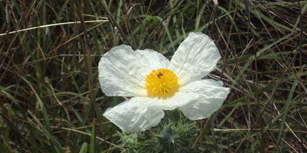 Of Days Gone By It's not a sad thing to grow old. I look back at my