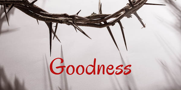 Goodness Goodness is something so simple; always to live for others, never