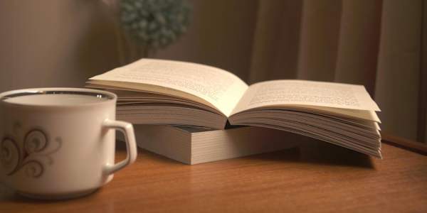 ✨ A Little Harbor Ridge Update: Where the Stories Are Now If you’ve been