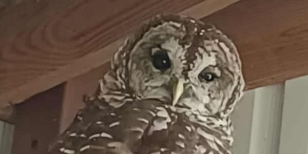 Book Cover Inspiration Discover inspiring places, people, and things that