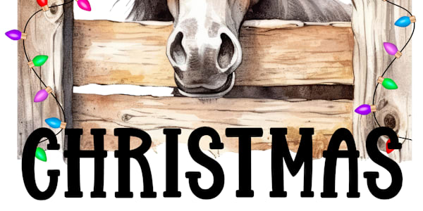 Family Advent – Day 12 Today’s Reading: Psalm 49:5–15; John 11:25–26Before