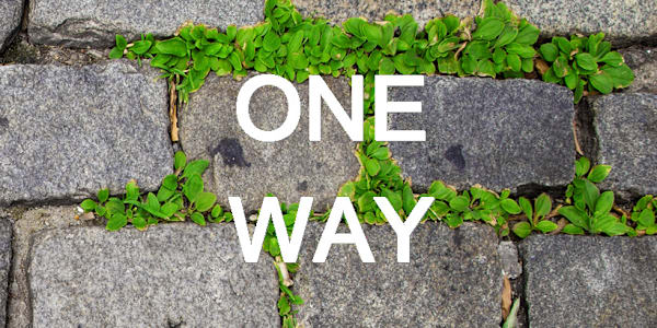 Book Review of Mohammed Sumil's One Way &nbsp;Review of "One Way" by