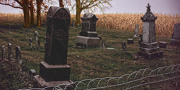 The Soul of Jack Blackman A short story set in 1918. Callista Bishop, a