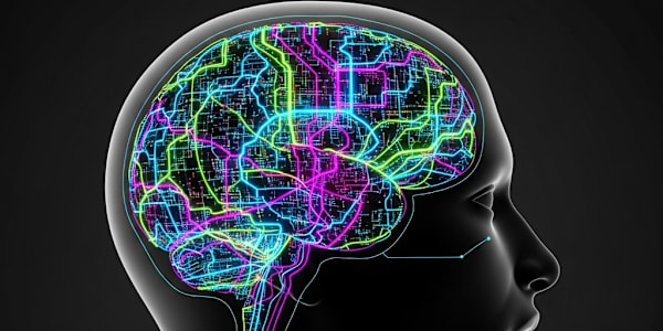 Your Brain on Love (and Other Terrifyingly Authentic Shit): The