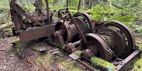 The Mechanical Donkey Hiking in a second-growth forest in British Columbia