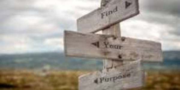 Purpose "Nothing contributes so much to tranquilize the mind as a steady
