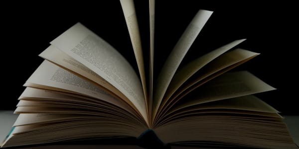 The Perils of Publishing Part Two A Zero Sum Game&nbsp; When you imagine