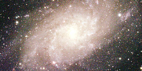 First Contact: What Could Possibly Go Wrong? Are You Ready for Some