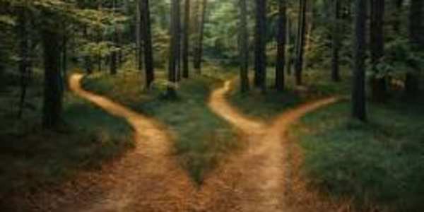 Paths I find the phenomenon of path formation fascinating. Before a well