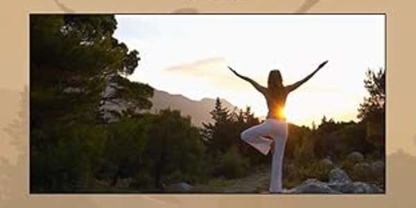 Poetry: The Sea of Skeleton Voices Paperback – May 9, 2014 by Vanessa M