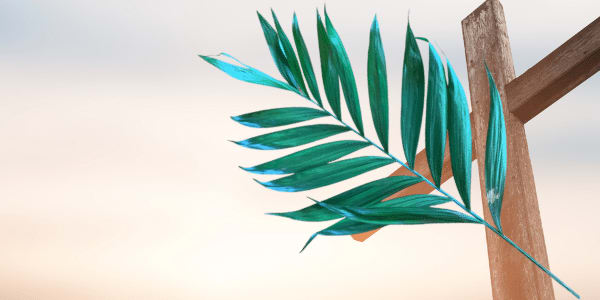 Palm Branches The next day, the news that Jesus was on the way to Jerusalem