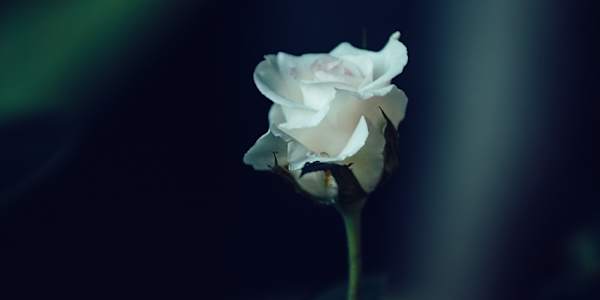 Spring Poems In anticipation of spring, I thought I'd post some poems from