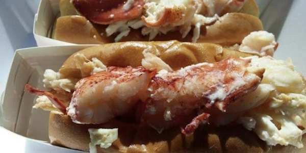 WORLD PHOTOGRAPHY DAY 2023 &nbsp;Originally Posted on August 19, 2023In