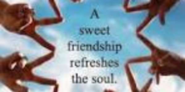 Friendship &nbsp;“Nature has no love for solitude, and always leans on some