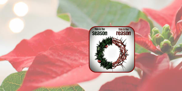 Sea of Red While I was shopping, I stepped into the garden center for some