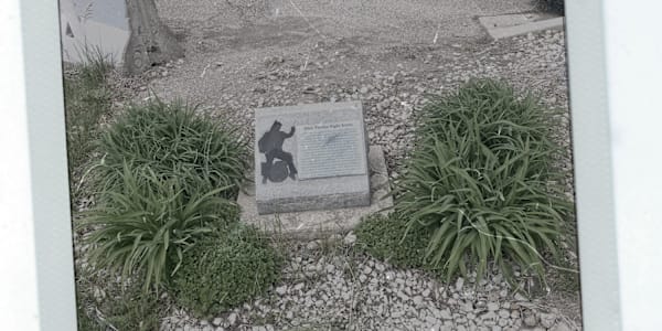 Oddsconsin 21 – Elvis Stops a Fight Just a country boy, he combed his