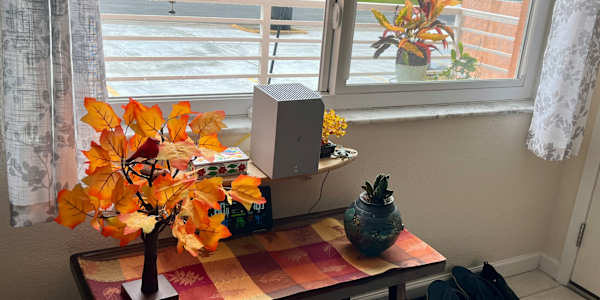 Vibes of fall from a Florida perspective A creativity is needed to build a