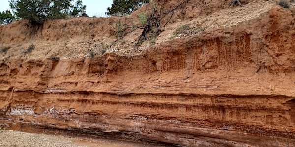 Rosetta’s Whispers: Don't Be Shy - Reach Out! Before I get started here,