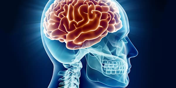 The Operating System I Didn't Know I Was Running I've been asking myself