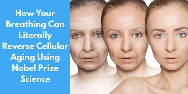 How Your Breathing Can Literally Reverse Cellular Aging Using Nobel Prize