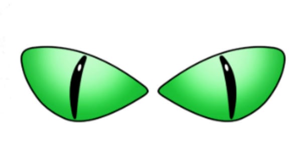 The Reptoids – Gone, But Not Forgotten (Unfortunately) The Reptoids are